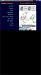 Mobile Screenshot of bkslab.org